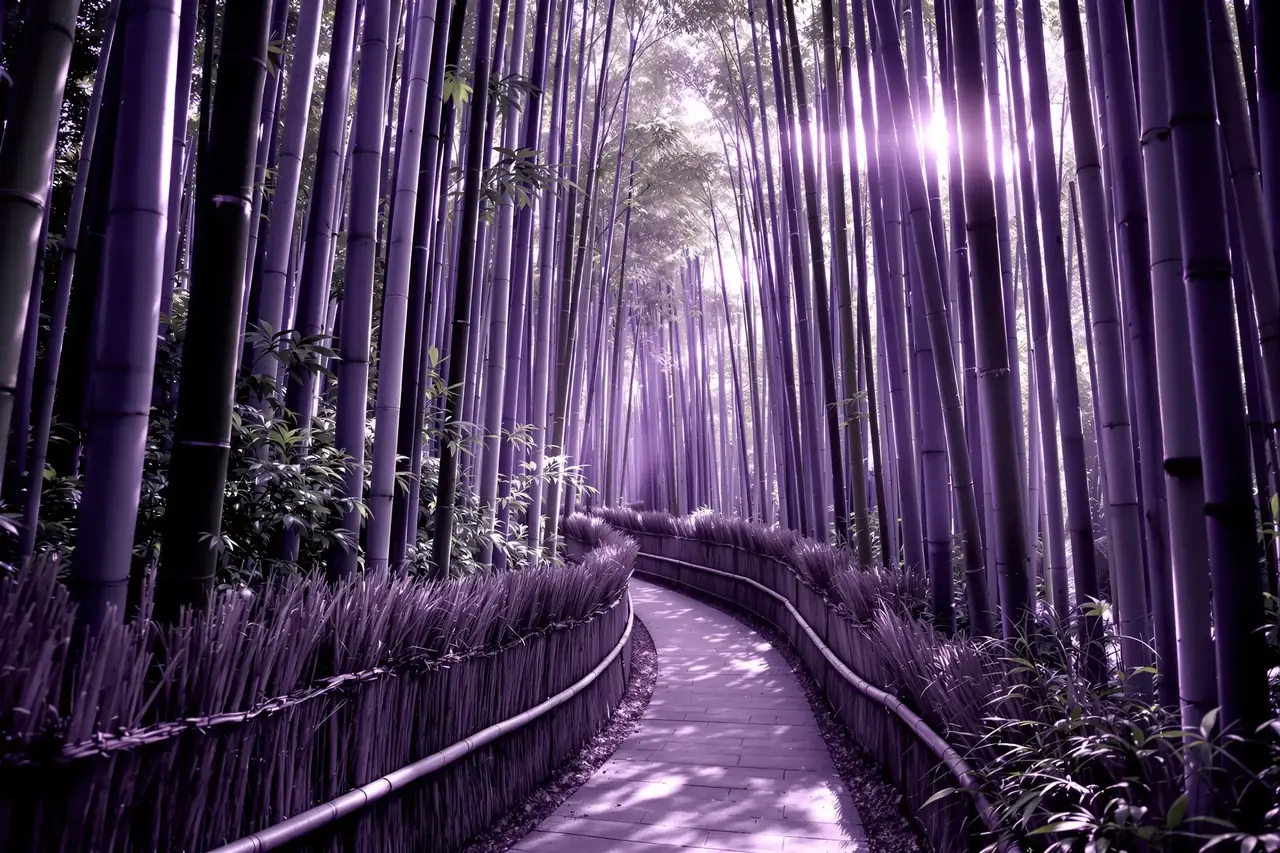 七七影视 - 暮鼓晨钟 · 京都禅意录 - 图1 暮鼓晨钟 · 京都禅意录 - 图1