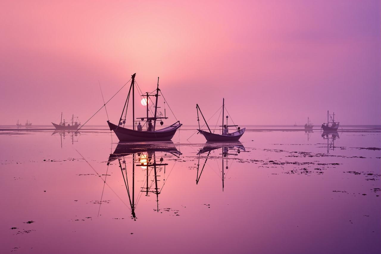 七七影视 - 潮汐之间 · 霞浦滩涂画卷 - 图1 潮汐之间 · 霞浦滩涂画卷 - 图1
